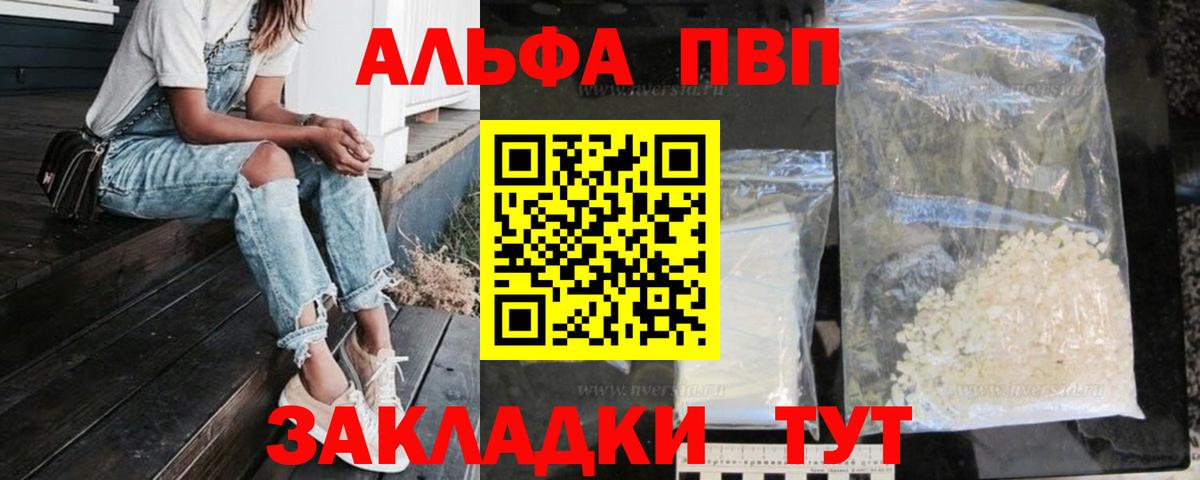 Альфа ПВП СК Кисловодск