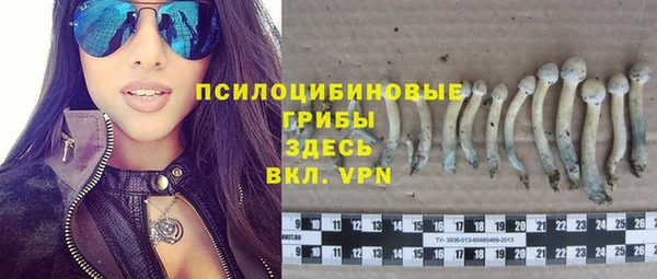мескалин Лабытнанги