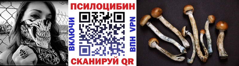 Псилоцибиновые грибы ЛСД  Кисловодск 