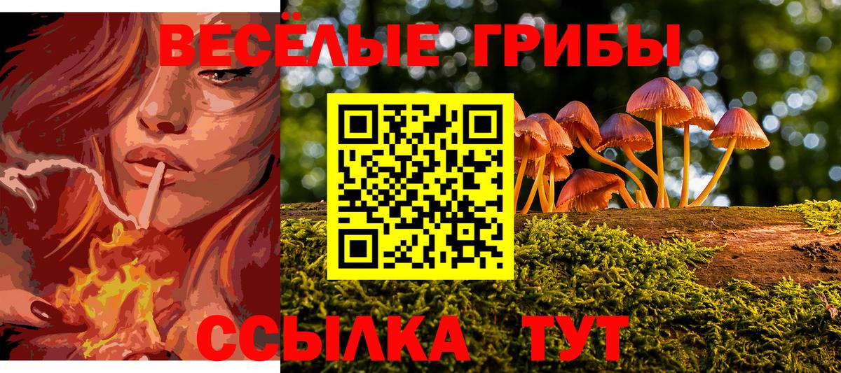 Кисловодск  наркотики  Вход с VPN  Псилоцибиновые грибы Magic Shrooms 