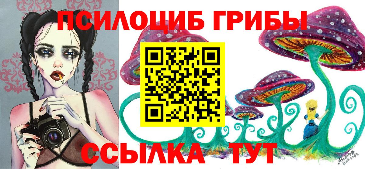 Галлюциногенные грибы Psilocybine cubensis Кисловодск