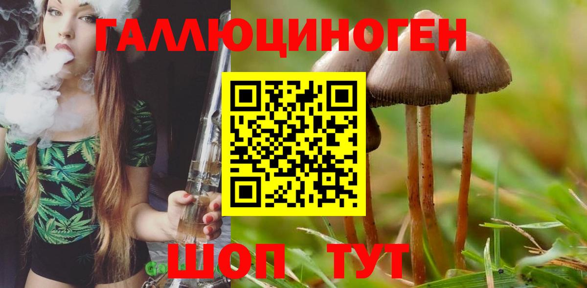 Галлюциногенные грибы MAGIC MUSHROOMS Кисловодск