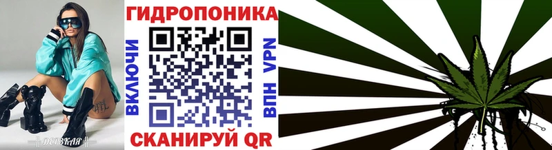 Шишки марихуана индика  Кисловодск 